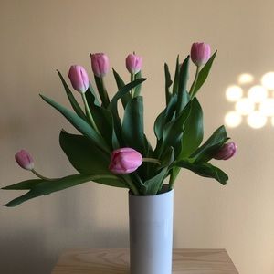 Meet your Posher, Caro